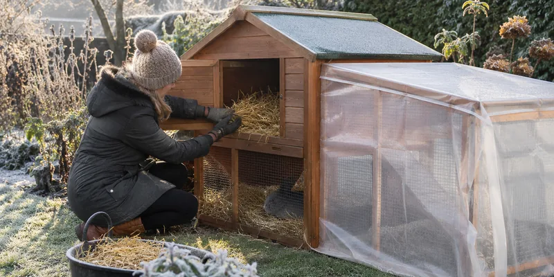 Konijnenhok wordt winterklaar gemaakt met stro en windscherm