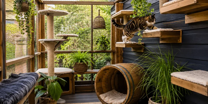 Ingerichte catio met klimplanken en schuilton